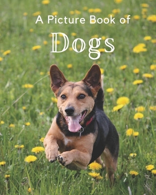 A Picture Book of Dogs: A Beautiful Picture Book for Seniors With Alzheimer's or Dementia. Makes a Great Gift For Dog Lovers! by A Bee's Life Press