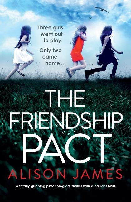 The School Friend: A totally gripping psychological thriller with a brilliant twist by James, Alison