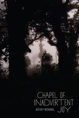 Chapel of Inadvertent Joy Paperback University of Pittsburgh Press