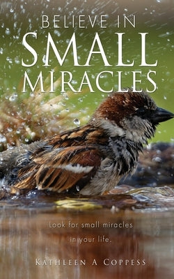 Believe in Small Miracles: Look for small miracles in your life. Paperback Xulon Press