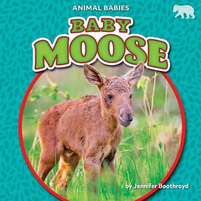 Baby Moose by Boothroyd, Jennifer