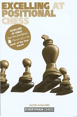 Excelling at Positional Chess by Aagaard, Jacob