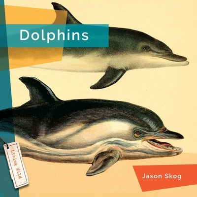 Dolphins Paperback Creative Education/Creative Paperbacks