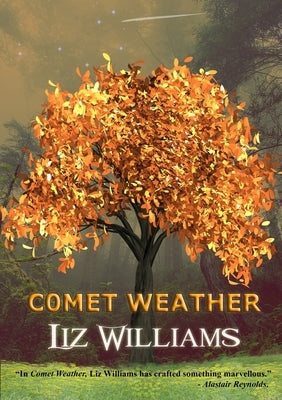 Comet Weather by Williams, Liz