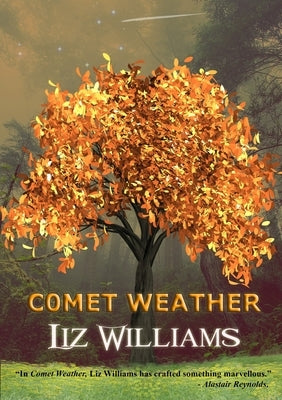 Comet Weather Paperback Newcon Press
