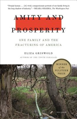 Amity and Prosperity: One Family and the Fracturing of America Paperback Picador USA