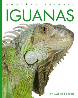 Iguanas by Bodden, Valerie