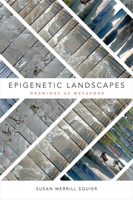 Epigenetic Landscapes: Drawings as Metaphor Paperback Duke University Press