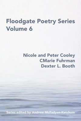 Floodgate Series Volume 6 Paperback Etchings Press