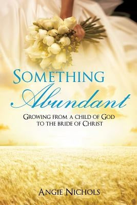 Something Abundant Paperback Xulon Press