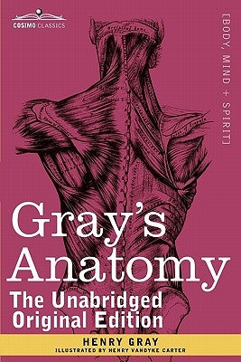 Gray's Anatomy: Descriptive and Surgical Paperback Cosimo Classics