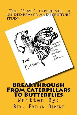 Breakthrough From Caterpillars to Butterflies: : Healing from past Hurts, Bondages and Addictions by Beard, Denise