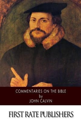 Commentaries on the Bible Paperback Createspace Independent Publishing Platform