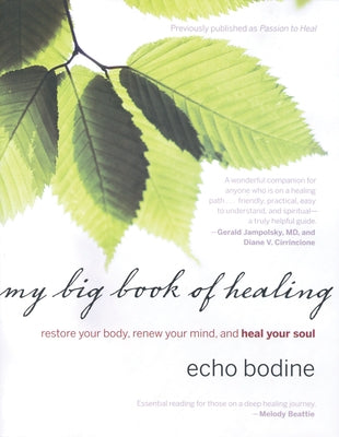 My Big Book of Healing: Restore Your Body, Renew Your Mind, and Heal Your Soul by Bodine, Echo