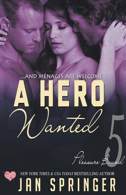 A Hero Wanted by Springer, Jan