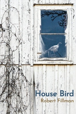 House Bird by Fillman, Robert