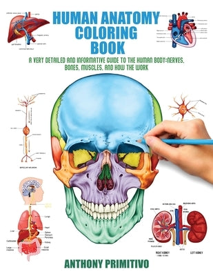 Human Anatomy Coloring Book: A Very Detailed and Informative Guide to the Human Body: Nerves, Bones, Muscles, and How to the Work by Primitivo, Anthony