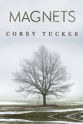 Magnets Paperback Olympia Publishers