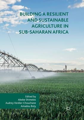 Building a Resilient and Sustainable Agriculture in Sub-Saharan Africa Paperback Palgrave MacMillan