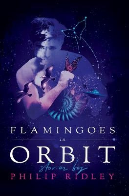 Flamingoes in Orbit by Ridley, Philip