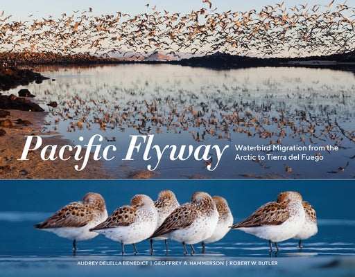 Pacific Flyway: Waterbird Migration from the Arctic to Tierra del Fuego by Benedict, Audrey Delella