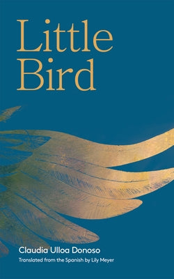 Little Bird Deep Vellum Publishing