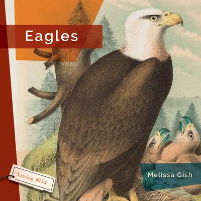 Eagles by Gish, Melissa