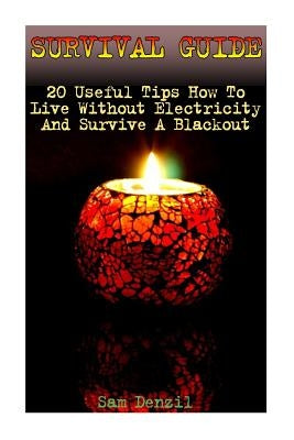 Survival Guide: 20 Useful Tips How To Live Without Electricity And Survive A Blackout by Denzil, Sam