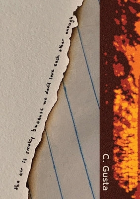 The Air is Smokey Because We Don't Love Each Other Enough Paperback Really Serious Literature