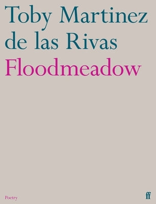 Floodmeadow Paperback Faber & Faber