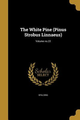 The White Pine (Pinus Strobus Linnaeus); Volume no.22 Paperback Wentworth Press