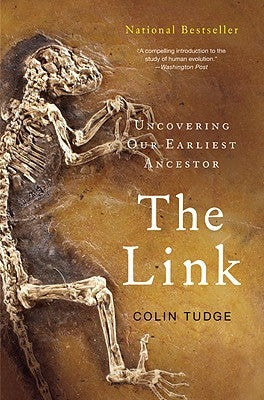 The Link Paperback Back Bay Books