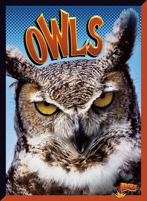 Owls by Davis-Castro, Janet