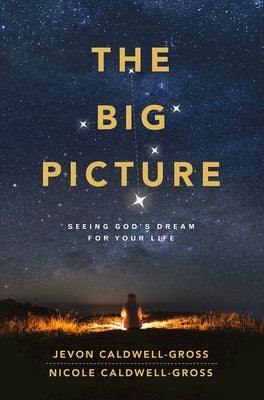 The Big Picture: Seeing God's Dream for Your Life Paperback Abingdon Press
