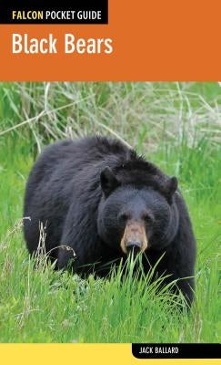 Black Bears Paperback Falcon Press Publishing