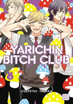 Yarichin Bitch Club, Vol. 4: Volume 4 by Tanaka, Ogeretsu