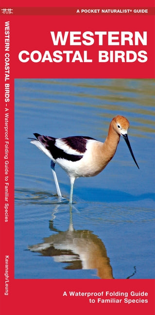 Western Coastal Birds: A Waterproof Folding Pocket Guide to Familiar Species Paperback Waterford Press