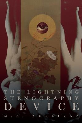 The Lightning Stenography Device Paperback Painted Blind Publishing