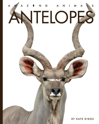 Antelopes by Riggs, Kate
