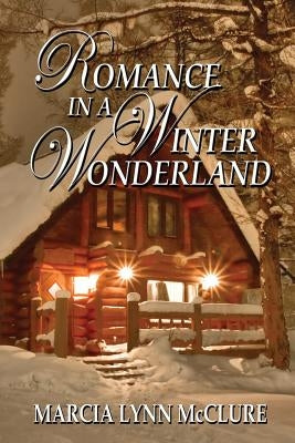 Romance in a Winter Wonderland Paperback Distractions Ink