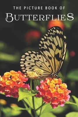 The Picture Book of Butterflies: A Gift Book for Alzheimer's Patients and Seniors with Dementia by Books, Sunny Street