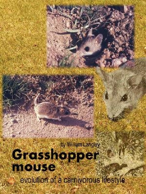 Grasshopper Mouse: Evolution of a Carnivorous Life Style by Langley, William