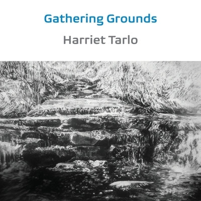 Gathering Grounds: 2011-2019 by Tarlo, Harriet