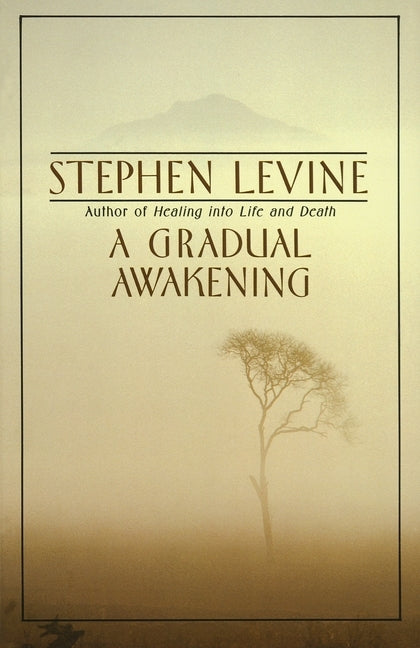 A Gradual Awakening by Levine, Stephen