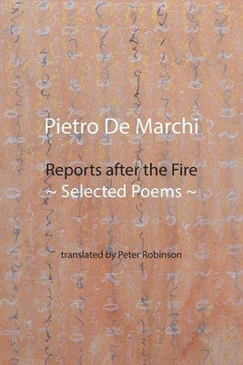 Reports after the Fire: Selected Poems Paperback Shearsman Books