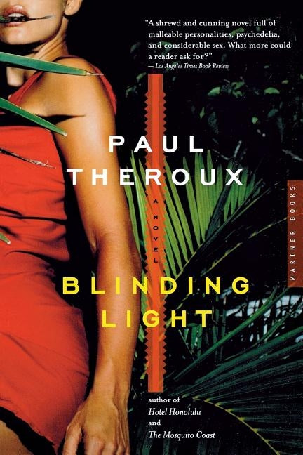 Blinding Light Paperback Houghton Mifflin