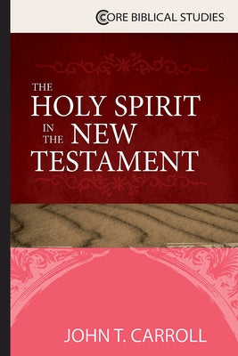 The Holy Spirit in the New Testament Paperback Abingdon Press