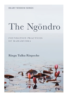The Ngöndro: Foundation practices of Mahamudra Paperback Bodhicharya Publications CIC