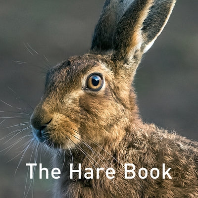 The Hare Book by Jane, Russ