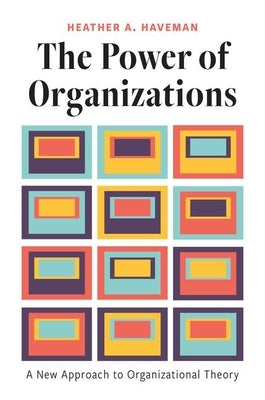 The Power of Organizations: A New Approach to Organizational Theory Paperback Princeton University Press